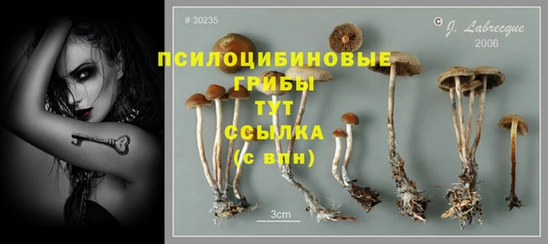 спиды Елабуга