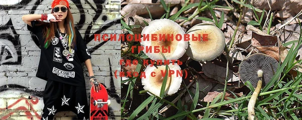 мяу мяу кристалл Ельня